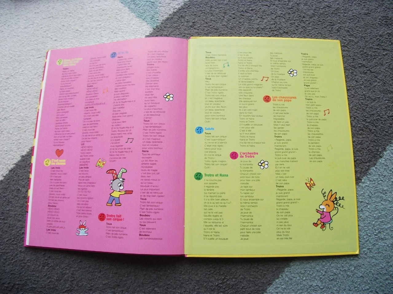 Livro Trotro faz seu circo Galimard Jeunesse – photo 14